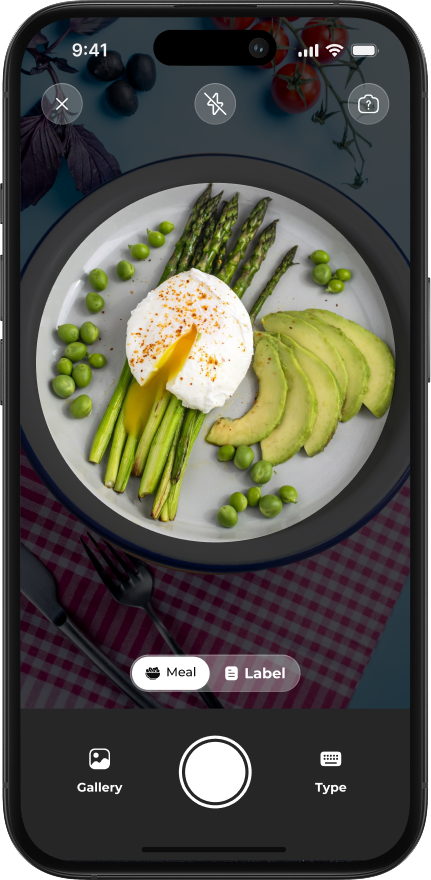 MiraCal camera scanning interface